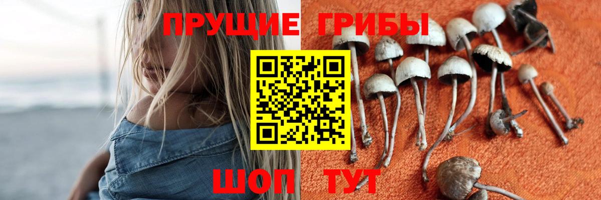 Галлюциногенные грибы Cubensis  Вход с VPN  где купить наркоту  Новочебоксарск 